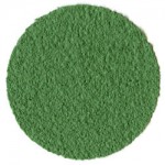 Nova #11 Classic Green